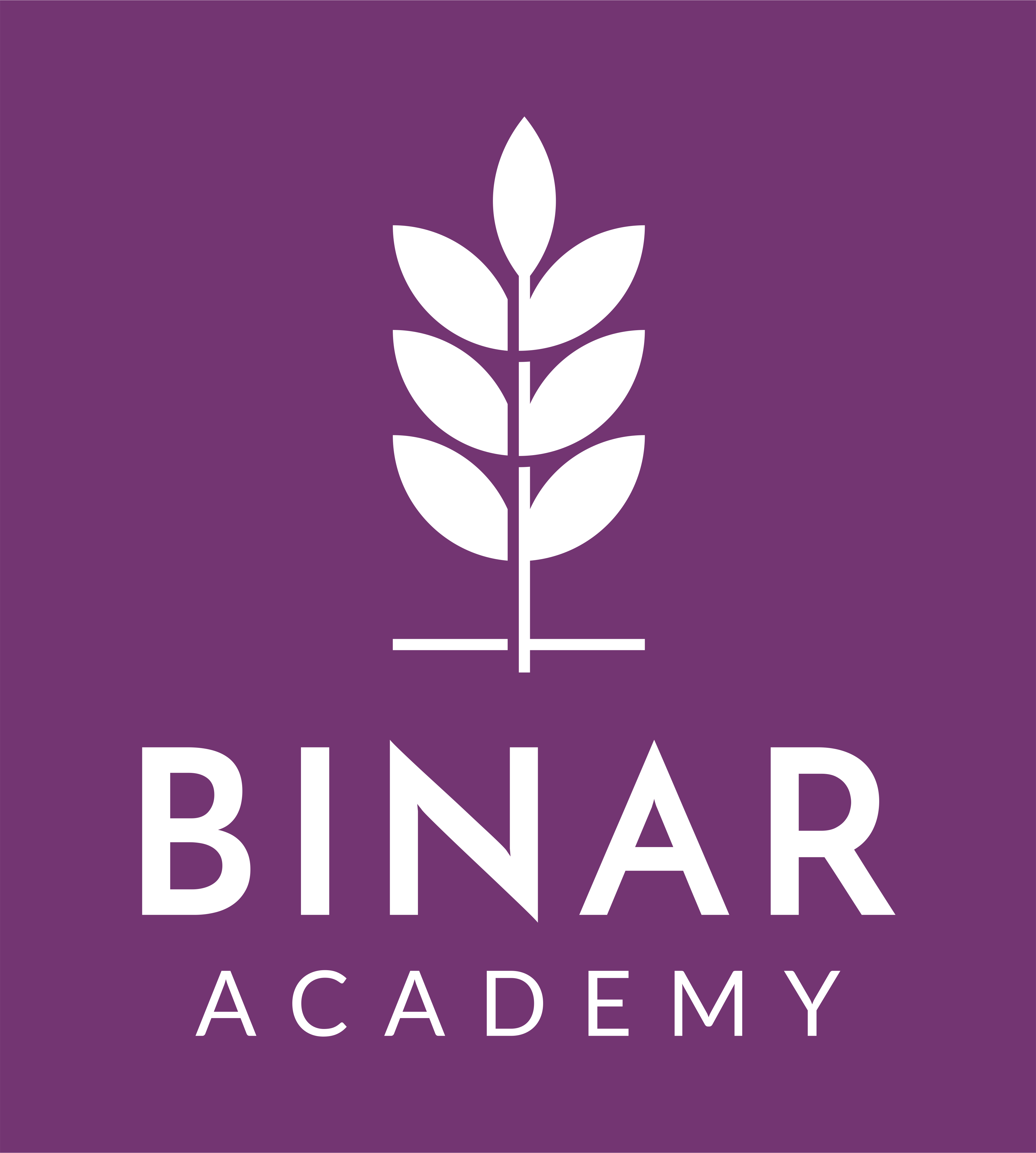 logo_binar-academy_utama_putih_bg-magenta.png
