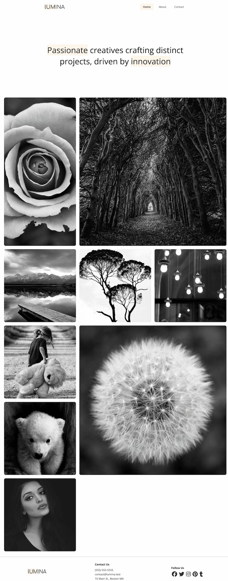 Web Project 3