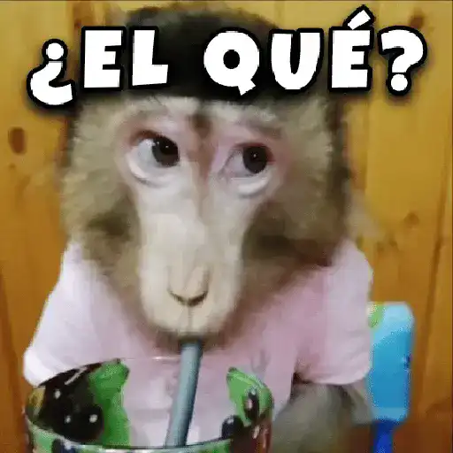 stickers_🤣🦍Monos_Traviesos😂🦍