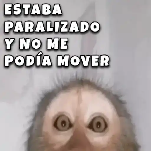 stickers_🤣🦍Monos_Traviesos😂🦍