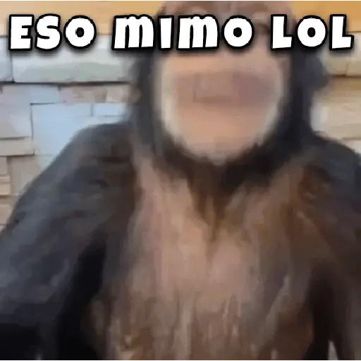 stickers_🤣🦍Monos_Traviesos😂🦍