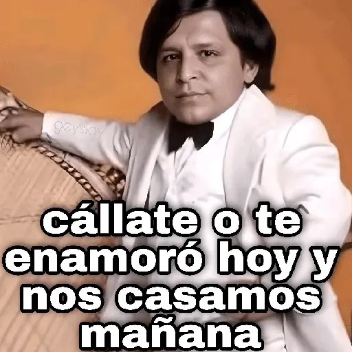 stickers_Angela_y_nodal_3_🤡memes_✨