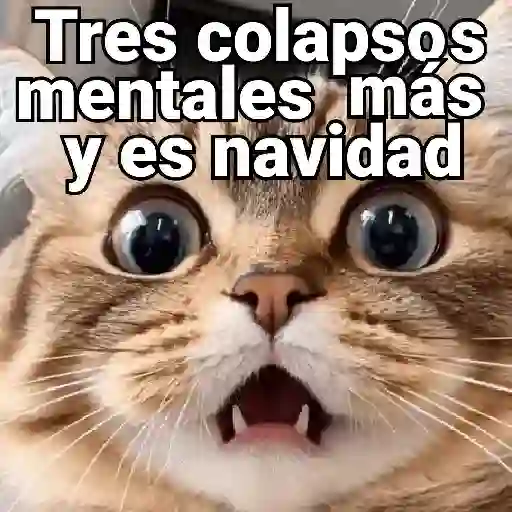 stickers_Gatos_pa_Responder_2🐱🌼