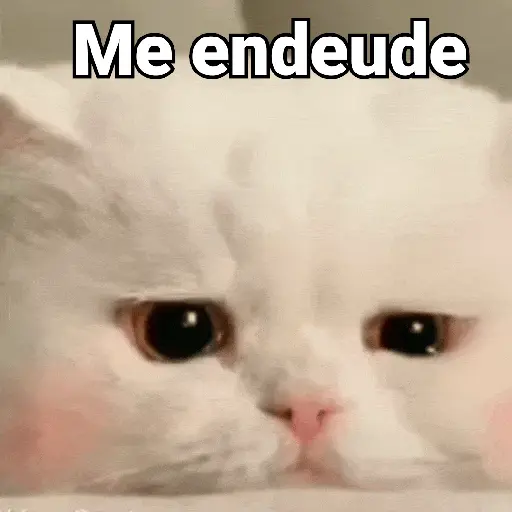 stickers_Gatos_pa_Responder_2🐱🌼