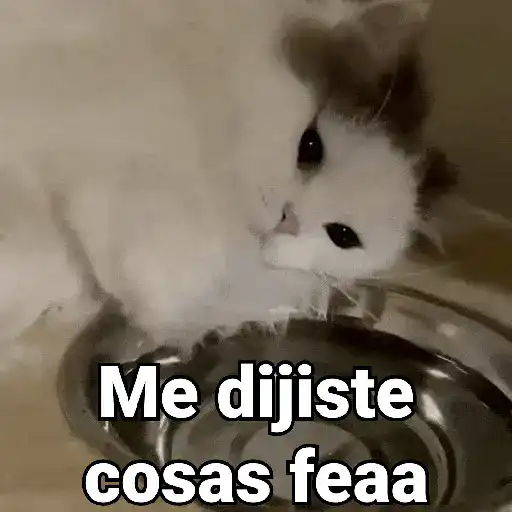 stickers_Gatos_pa_Responder_2🐱🌼