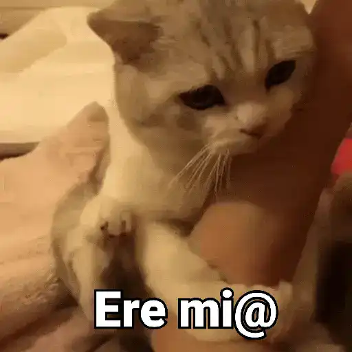 stickers_Gatos_pa_Responder_2🐱🌼