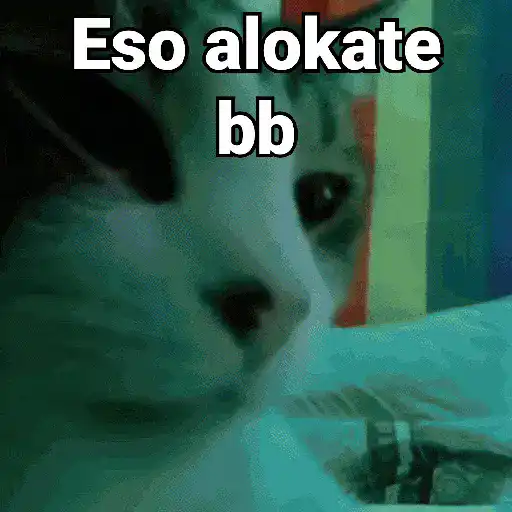 stickers_Gatos_pa_Responder_2🐱🌼