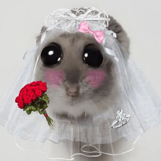 stickers_Rata_Triste-Memes🐭🥹✨