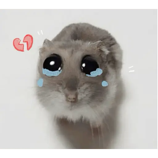 stickers_Rata_Triste-Memes🐭🥹✨
