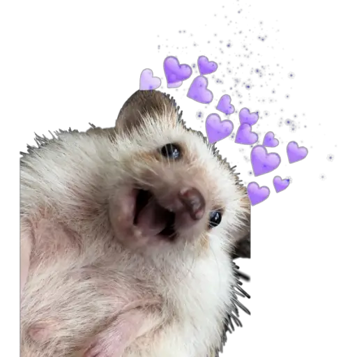 stickers_Porn🔞