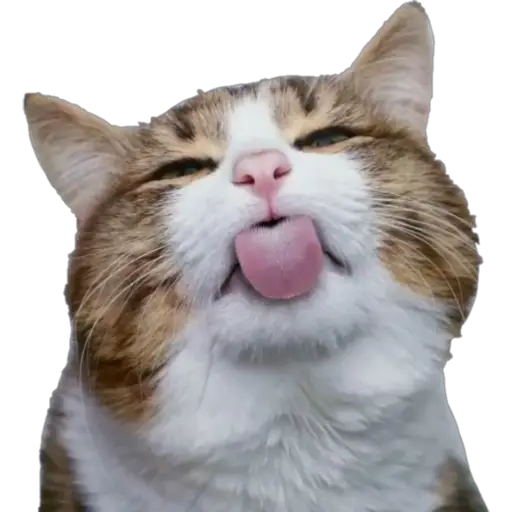 stickers_Porn🔞