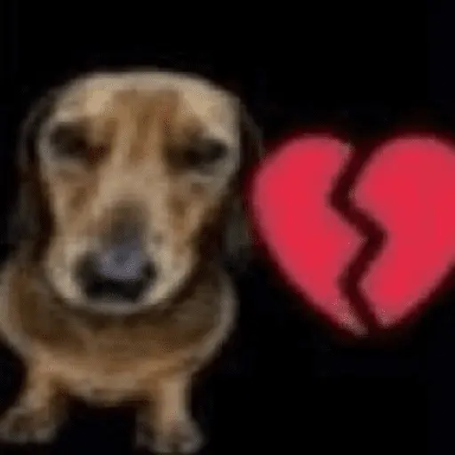 stickers_Animales_🔥