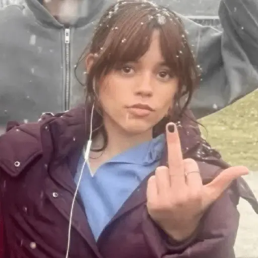 stickers_wandinha_|_reações_e_memes