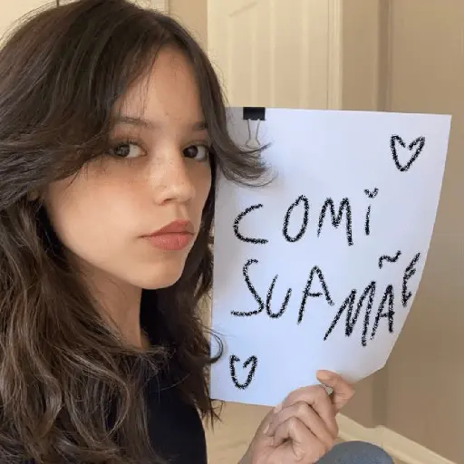 stickers_wandinha_|_reações_e_memes