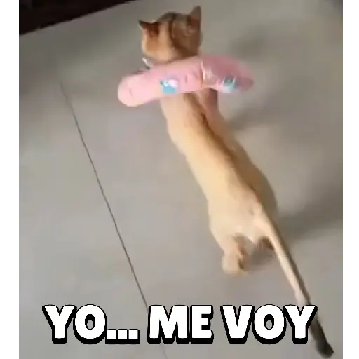 stickers_Animales_Graciosos_🐕🐈
