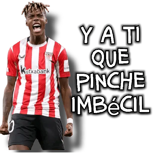 stickers_memes_fútbol_⚽👑