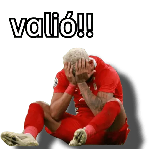 stickers_memes_fútbol_⚽👑