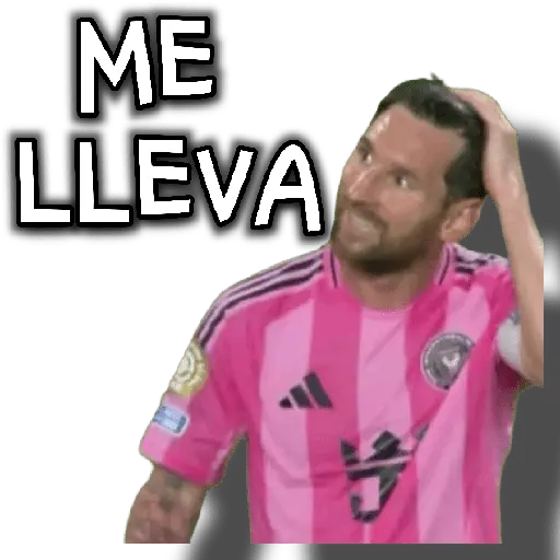 stickers_memes_fútbol_⚽👑