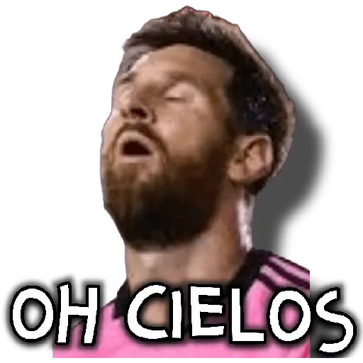 stickers_memes_fútbol_⚽👑