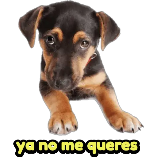 stickers_Porn🔞