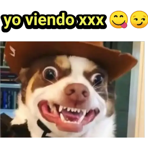 stickers_Porn🔞
