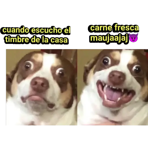 stickers_Porn🔞