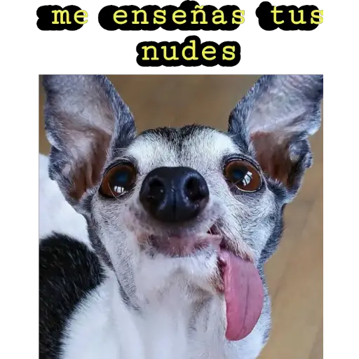 stickers_Porn🔞