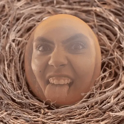 stickers_Minhas_figurinhas