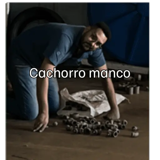 Stickers Minhas figurinhas