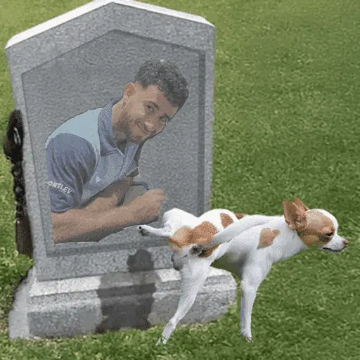 stickers_Minhas_figurinhas