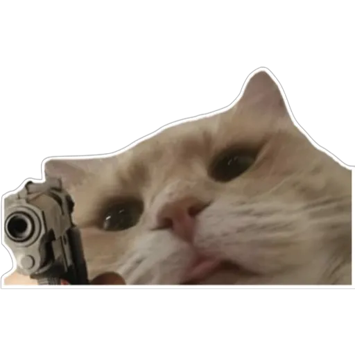 stickers_Porn🔞