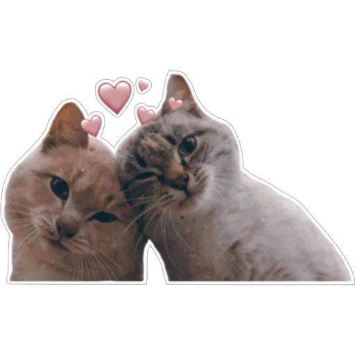 stickers_Porn🔞