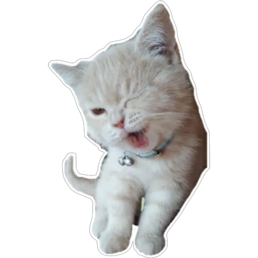 stickers_Porn🔞