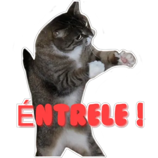 stickers_Porn🔞