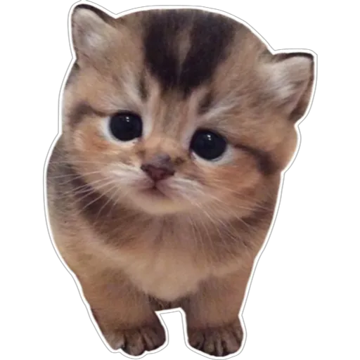 stickers_Porn🔞