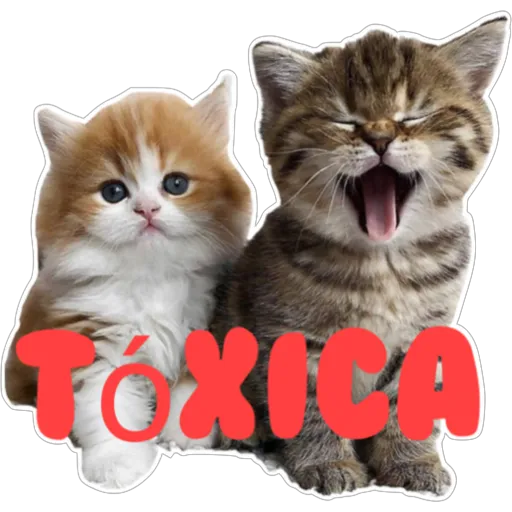 stickers_Porn🔞