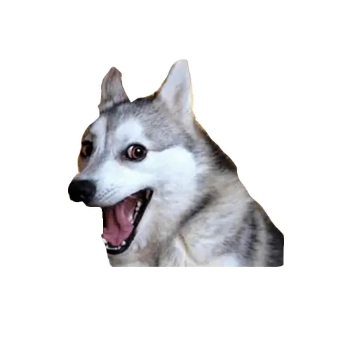 stickers_Porn🔞