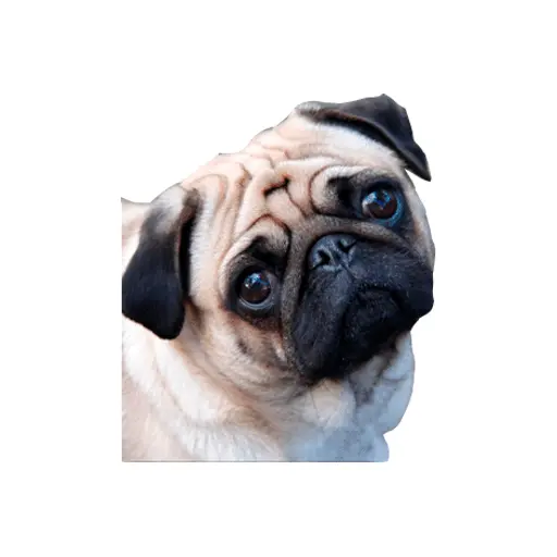 stickers_Porn🔞
