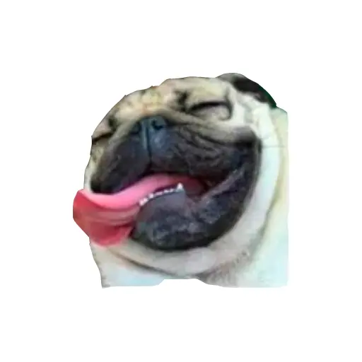 stickers_Porn🔞