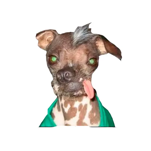 stickers_Porn🔞