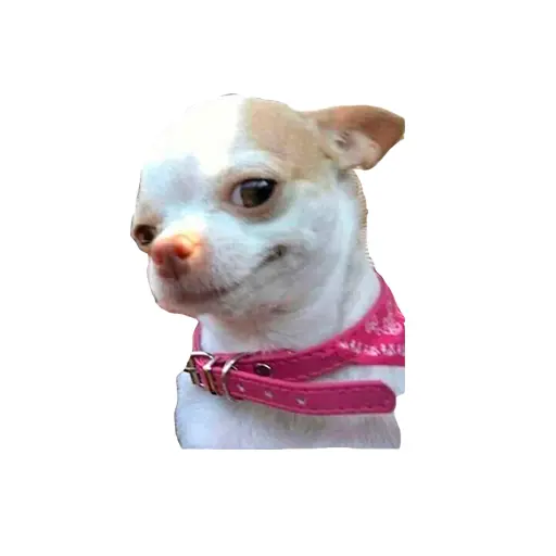 stickers_Porn🔞