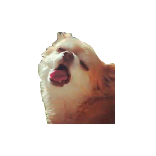 stickers_Porn🔞