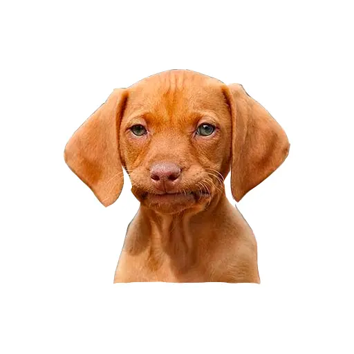 stickers_Porn🔞