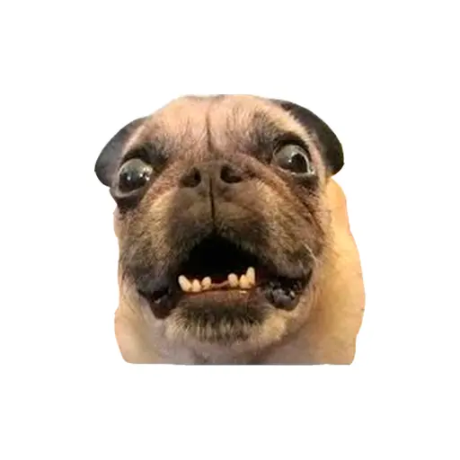 stickers_Porn🔞