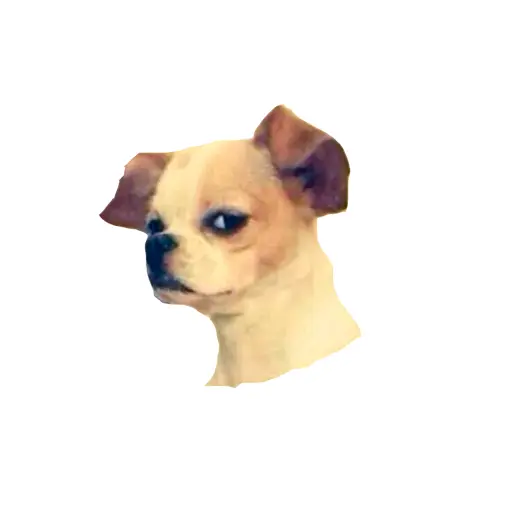 stickers_Porn🔞