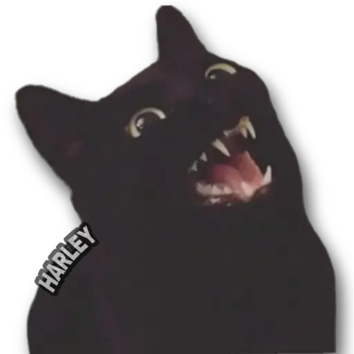stickers_Porn🔞