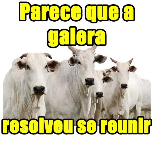 stickers_Porn🔞