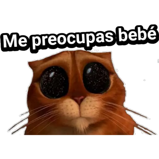 stickers_Porn🔞