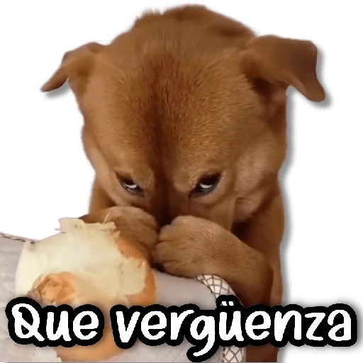 stickers_Porn🔞