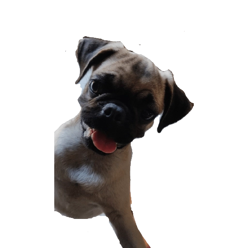 stickers_Porn🔞